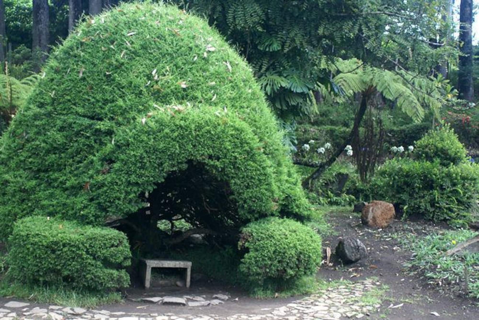 Casablanka Rest Guest House Nanu Oya Luaran gambar